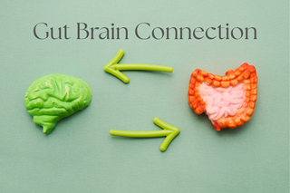 The Gut-Brain Connection: How Anxiety and Digestion Are Linked