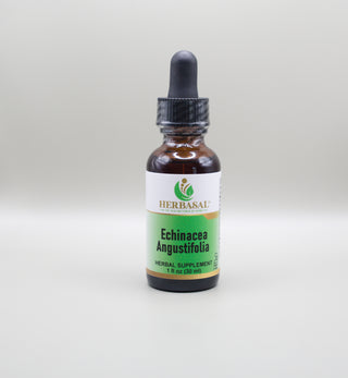 Echinacea Angustifolia Extract